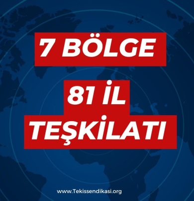 7 BÖLGE 81 İL TEŞKİLATLANMA SÜRECİ