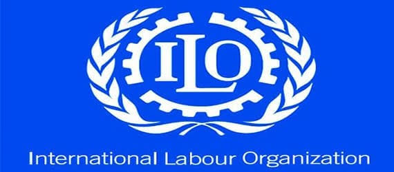 Tek-iş Sendikası'ndan Uluslararası &Ccedil;alışma &Ouml;rg&uuml;t&uuml; ILO Başvurusu Hakkında 