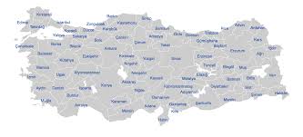 Teşkilatlanma